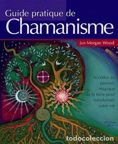 Livres: Guide pratique de chamanisme- 9782858293575