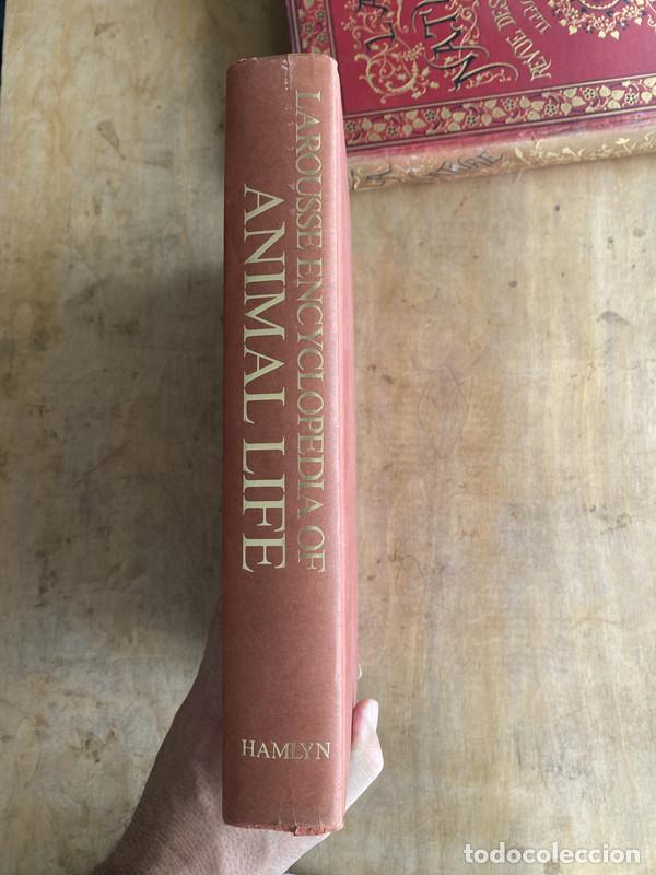 Livres: Larousse encyclopedia of animal life - Bertin L