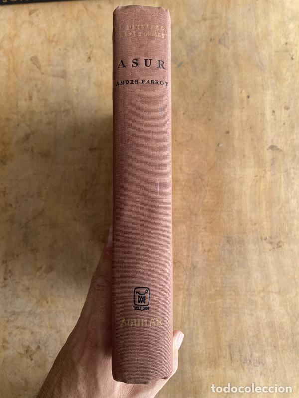 Libri di seconda mano: Asur - Parrot Andre