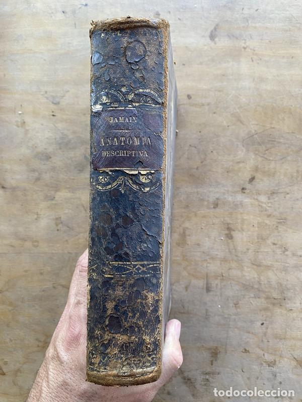 Libros: NUEVO TRATADO ELEMENTAL DE ANATOMIA DESCRIPTIVA Y DE PREPARACIONES ANATOMICAS. - Jamain