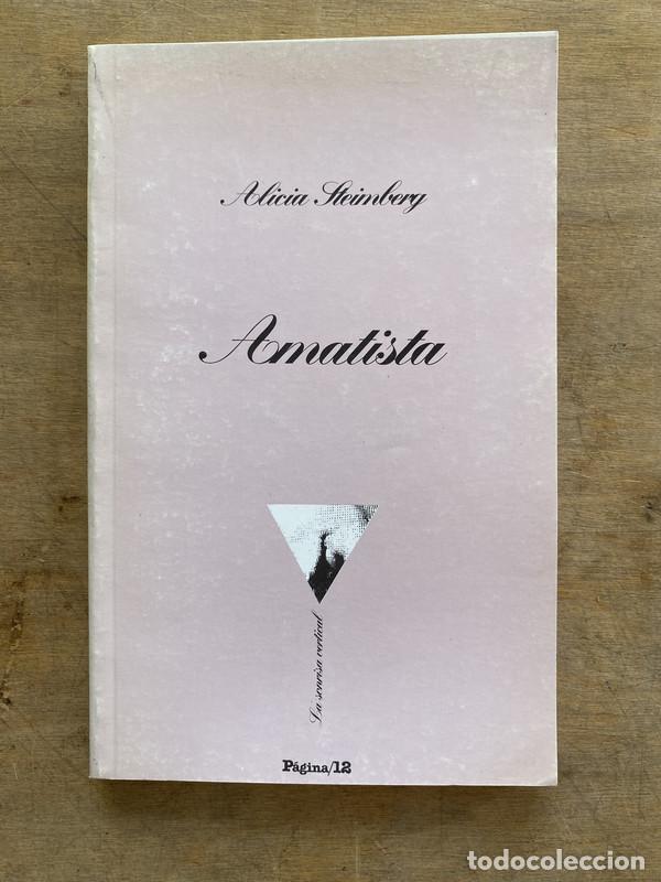 Libri di seconda mano: Amatista - Steinberg Alicia