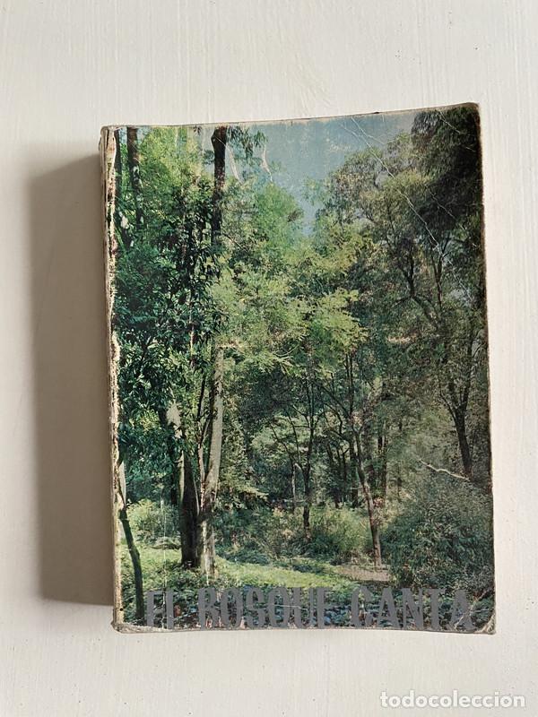 B&uuml;cher: El Bosque Canta - Maria Giudice