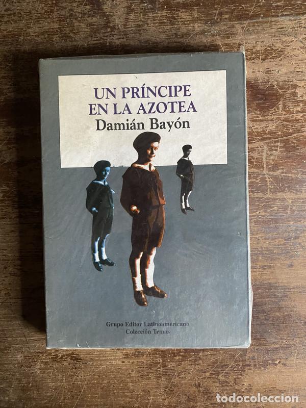 books: Un principe en la azotea - Bayon Damian