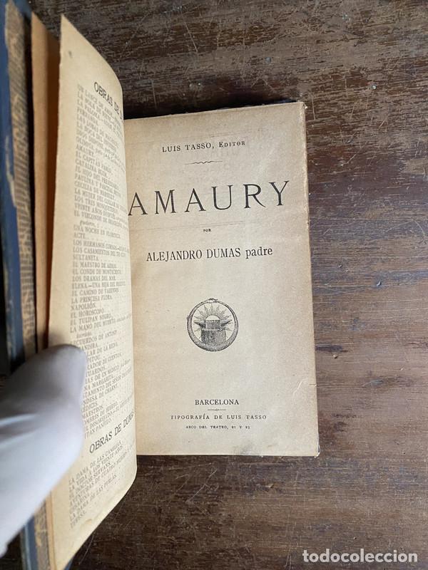 Libros: Amaury - Dumas Alejandro (padre)