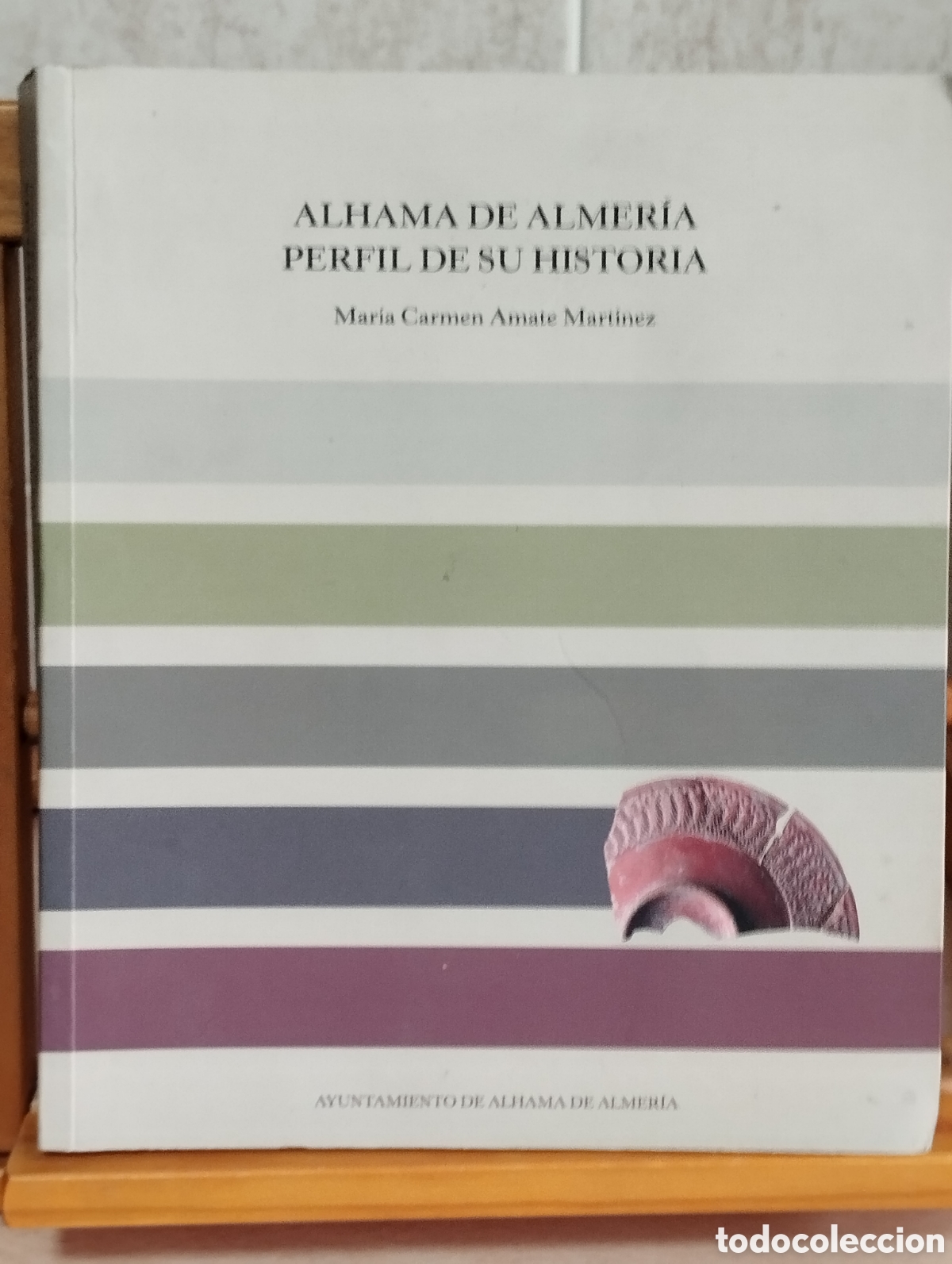 Libros: LIBRO ALHAMA DE ALMER&Iacute;A PERFIL DE SU HISTORIA -MARIA CARMEN AMATE MARTINEZ