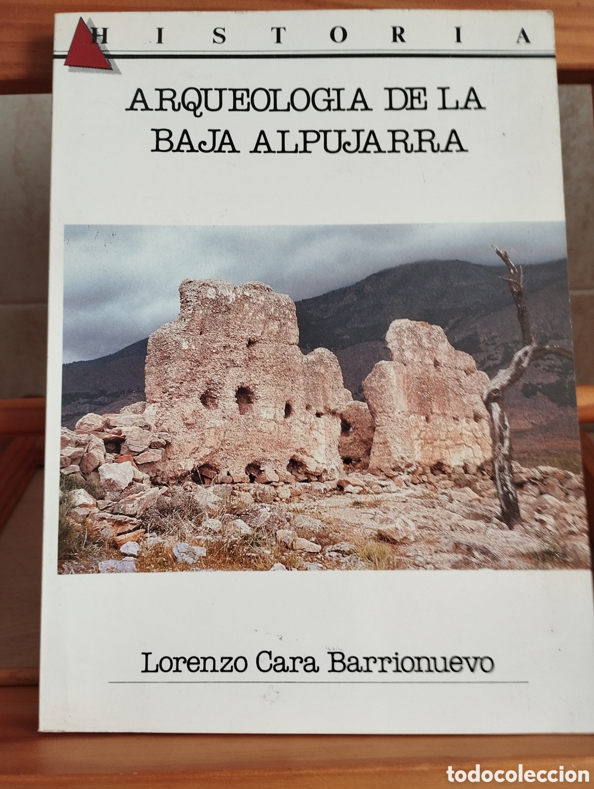 Libros: LIBRO ARQUEOLOG&Iacute;A DE LA ALPUJARRA -ALMERIA