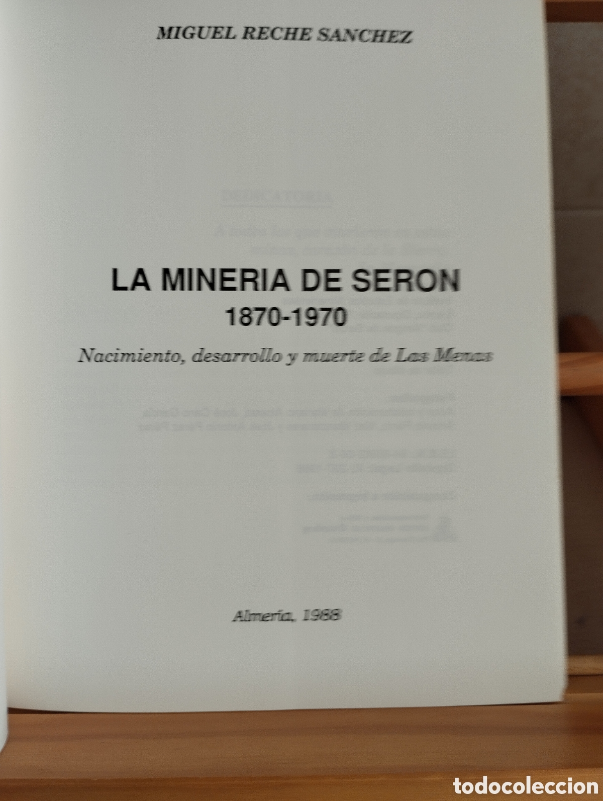 Libros: LIBRO LA MINER&Iacute;A DE SERON/MENAS -ALMERIA.MIGUEL TE HE S&Aacute;NCHEZ