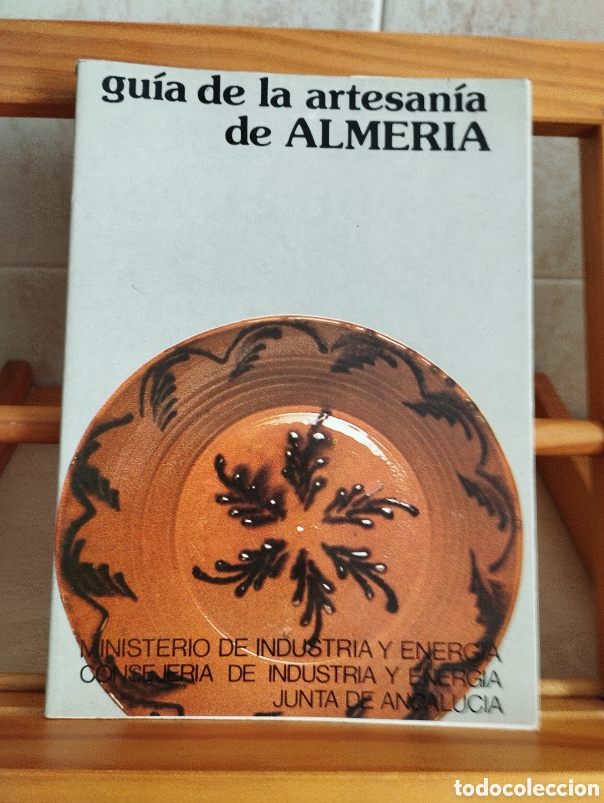 Libros: LIBRO GUIA DE LA ARTESAN&Iacute;A DE ALMER&Iacute;A