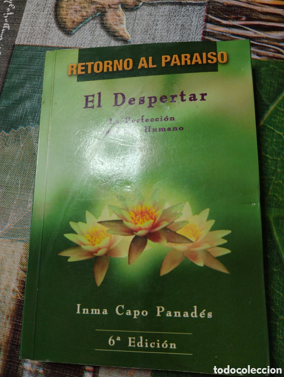 Libros: Libro &rdquo;El despertar&rdquo;