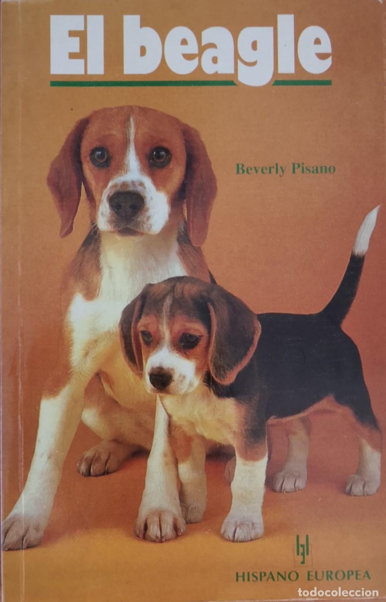 Libros: El Beagle. Beverly Pisano.