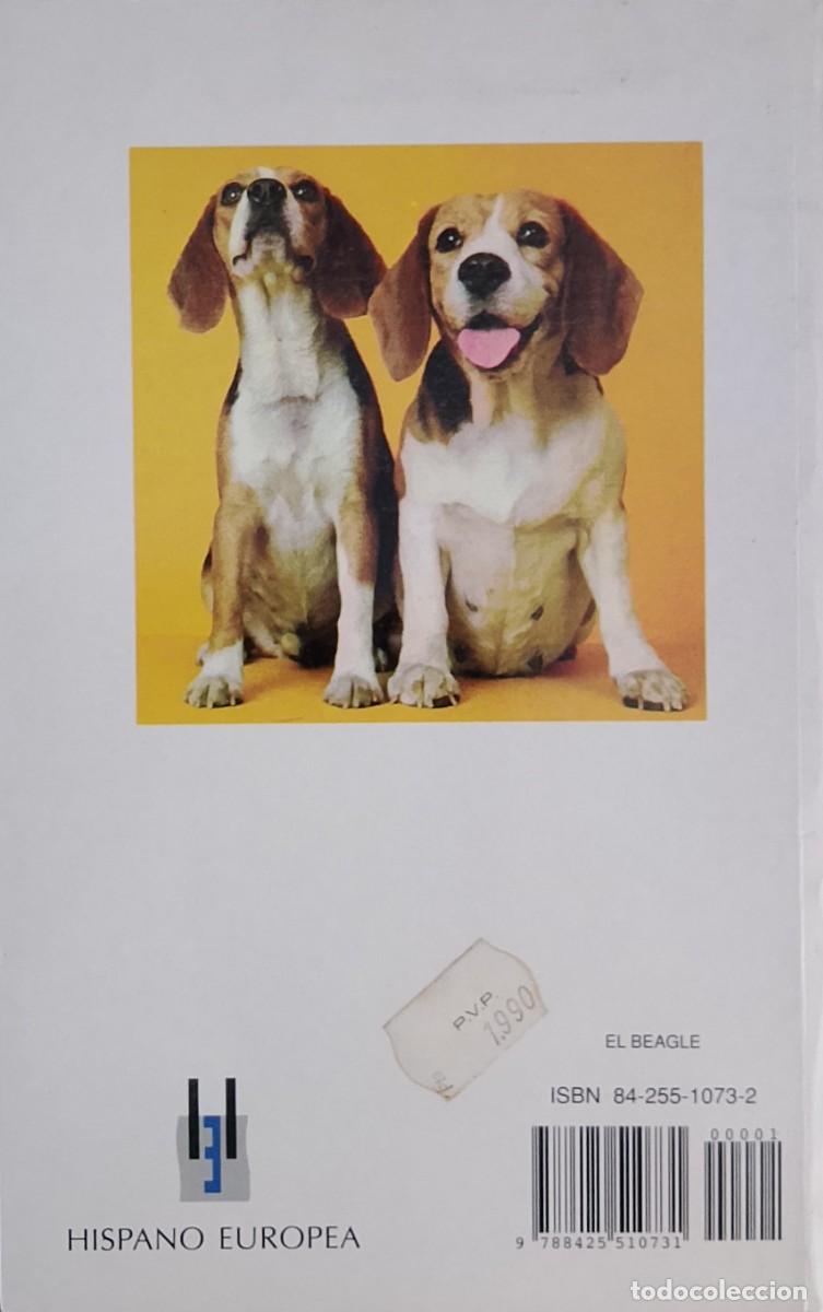 Libros: El Beagle. Beverly Pisano. - Foto 2