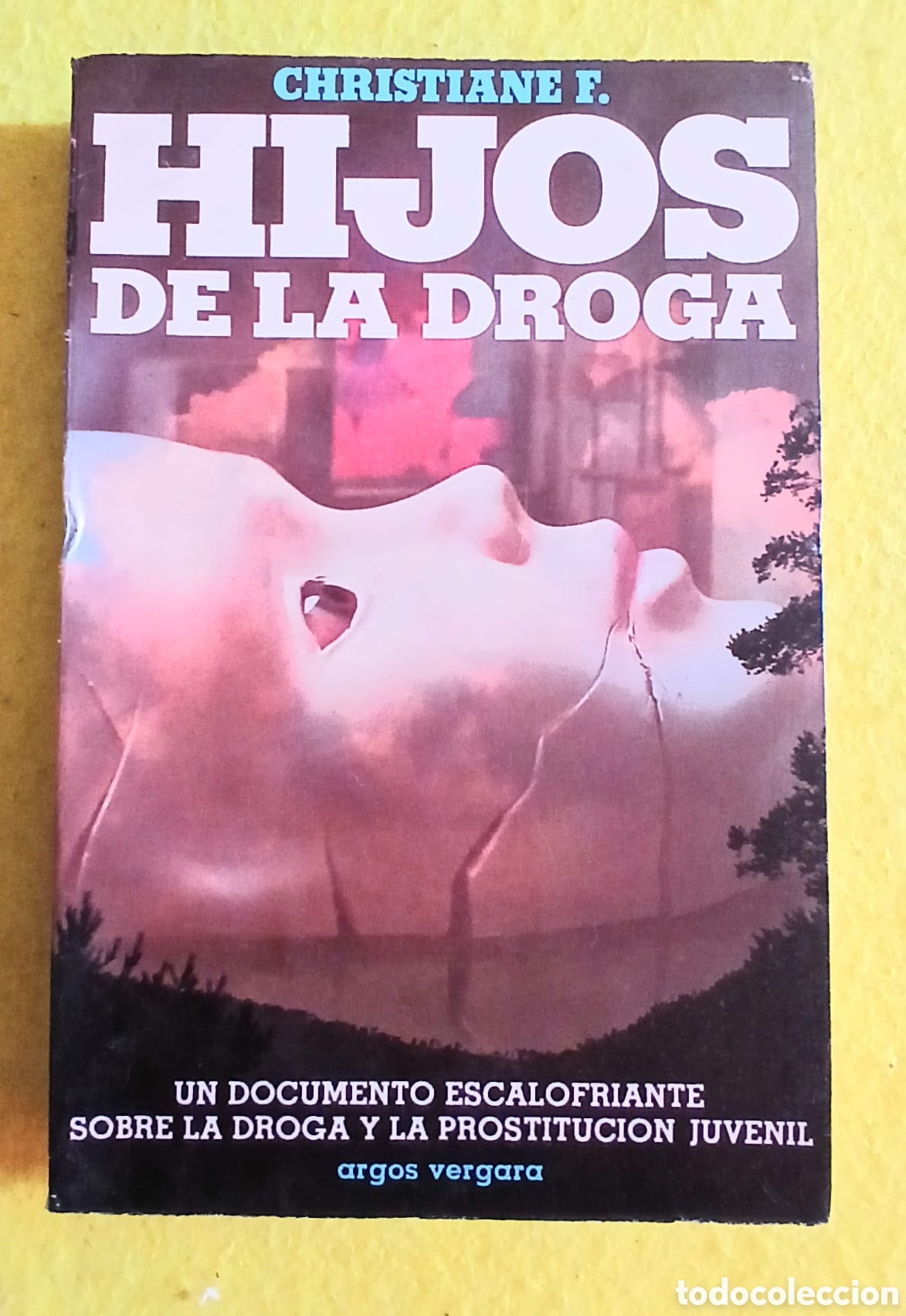 Libros: Hijos de la droga, F. Christiane