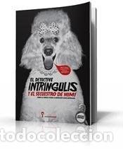 Libros: El detective intringulis y el secuestro de Mimi - Amaicha De - Amaicha Depino, Ileana Lotersztain