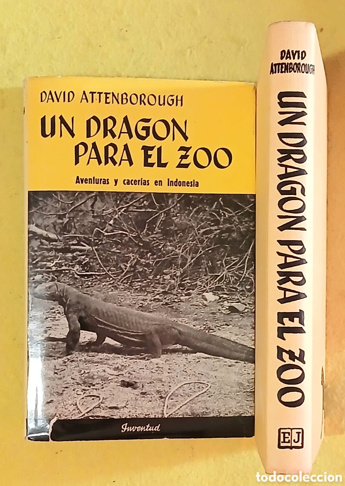Libros: Un dragon para el zoo