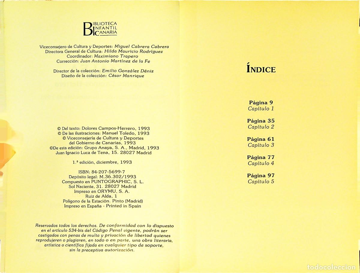 Libros: AZALEA - DOLORES CAMPOS-HERRERO - 1993 - CANARIAS - Foto 2