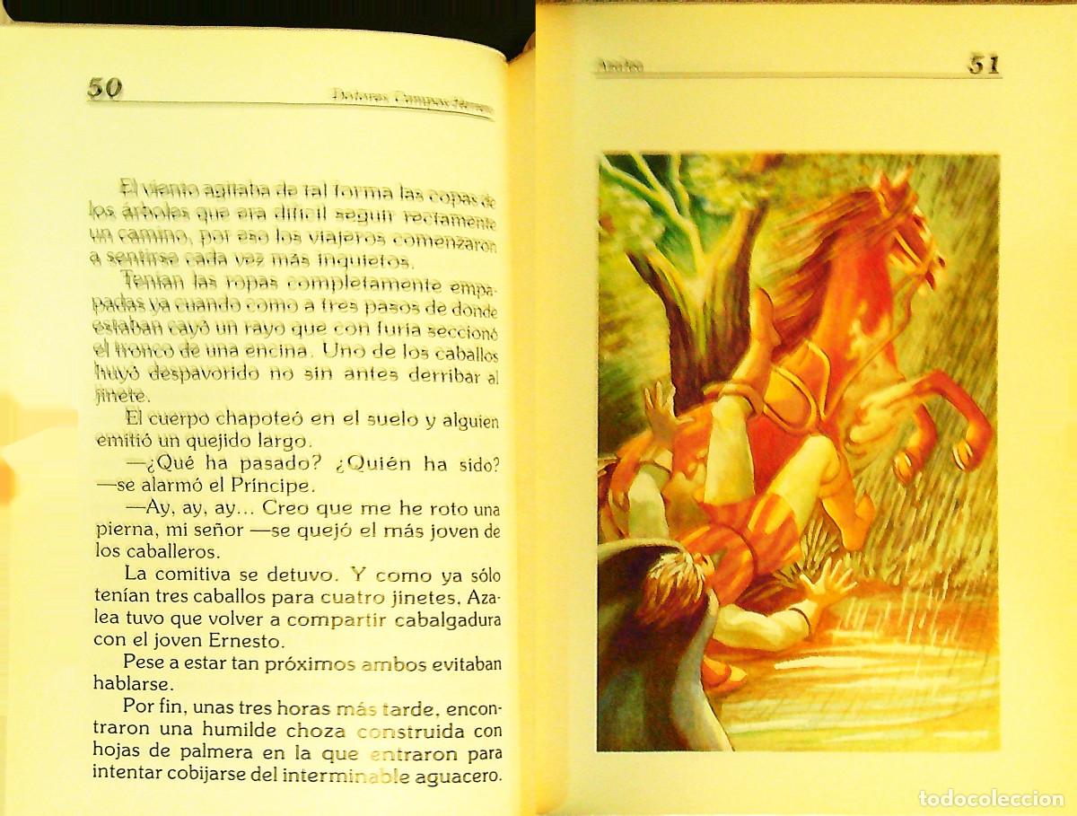 Libros: AZALEA - DOLORES CAMPOS-HERRERO - 1993 - CANARIAS - Foto 3