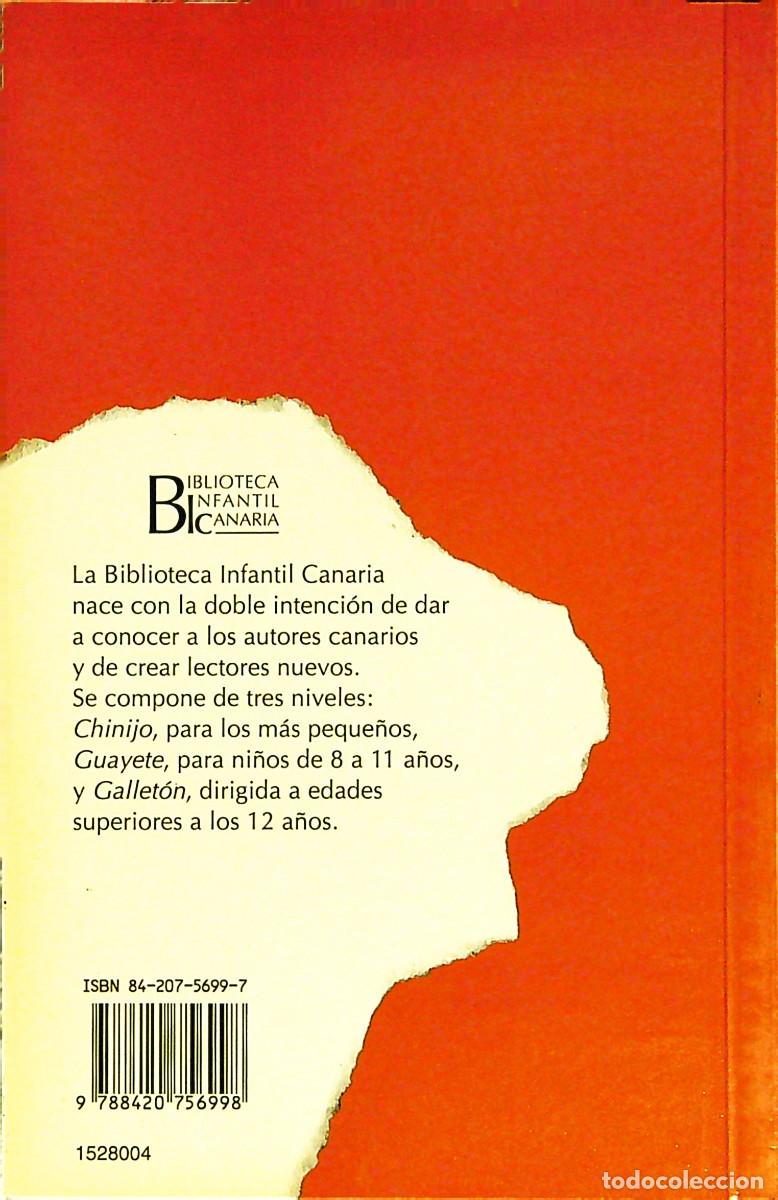 Libros: AZALEA - DOLORES CAMPOS-HERRERO - 1993 - CANARIAS - Foto 4