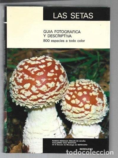Libri di seconda mano: Las Setas: Gu&iacute;a Fotogr&aacute;fica Y Descriptiva- 9788440405302