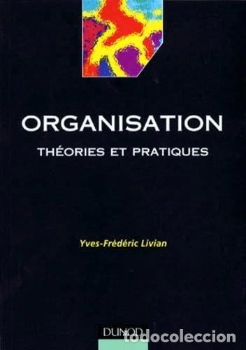 Libros: Organisation. Th&eacute;ories et pratiques- 9782100040759