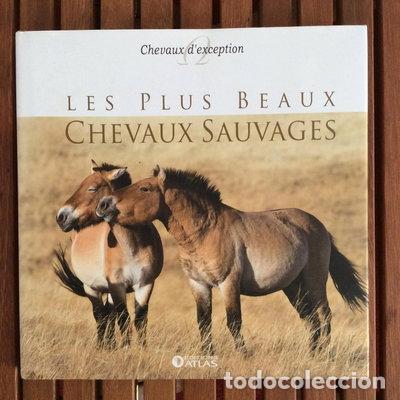 books: Les plus beaux chevaux sauvages- 9782731247350