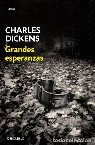 Libros: Grandes esperanzas- 9788483469880