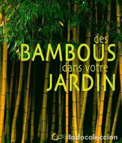 Libri di seconda mano: Des bambous dans votre jardin- 9782737246241