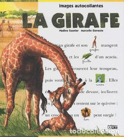 Libri di seconda mano: La girafe- 9782244255088