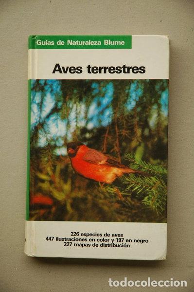 Livros em segunda m&atilde;o: Aves terrestres- 9788470315091