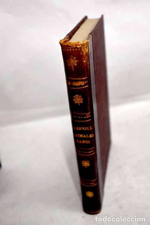 Libros: Animales raros y sus curiosidades.- Verrill, A. Hyatt