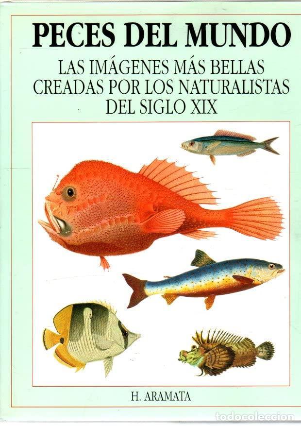 Libros: Peces del mundo - Hiroshi Aramata