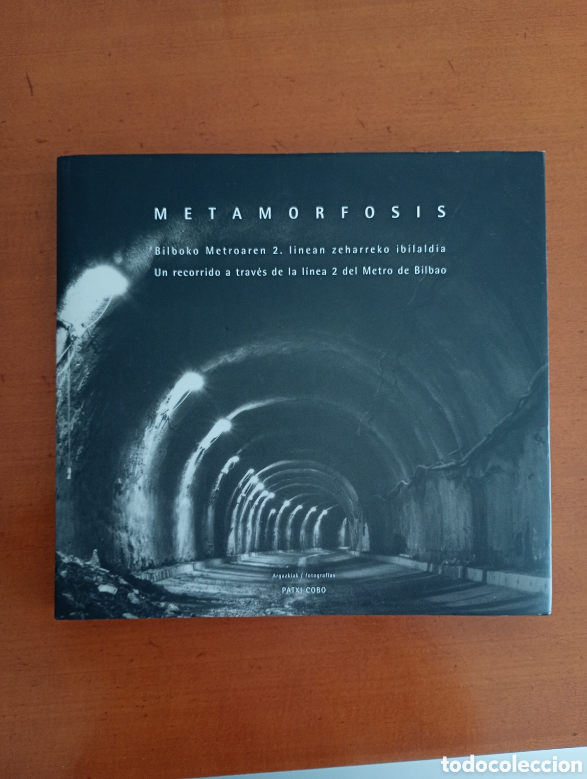Libros: Metamorfosis.Un recorrido a trav&eacute;s de la linea 2 del metro.patxi cobo