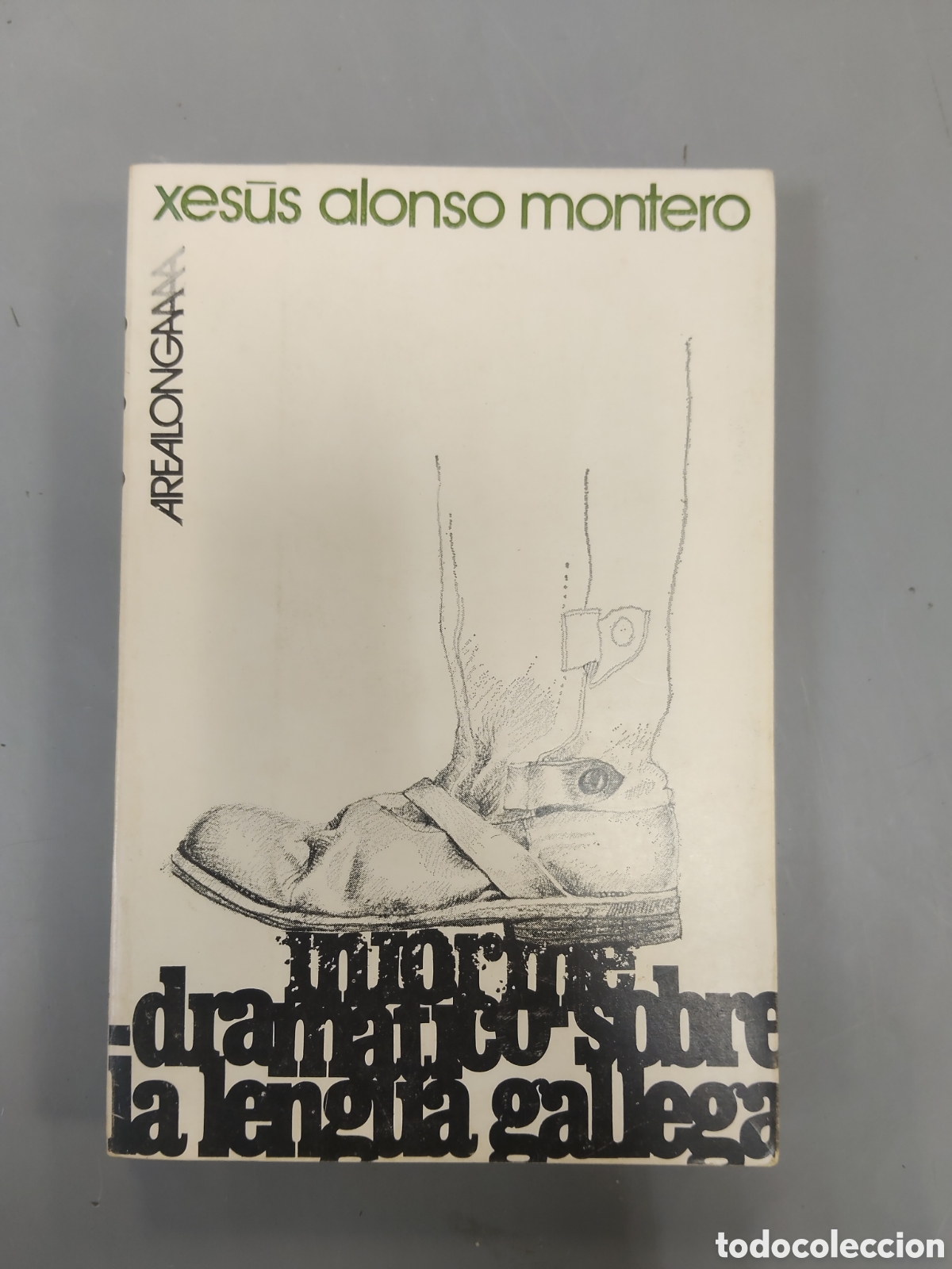 Libros: Xes&uacute;s Alonso Montero