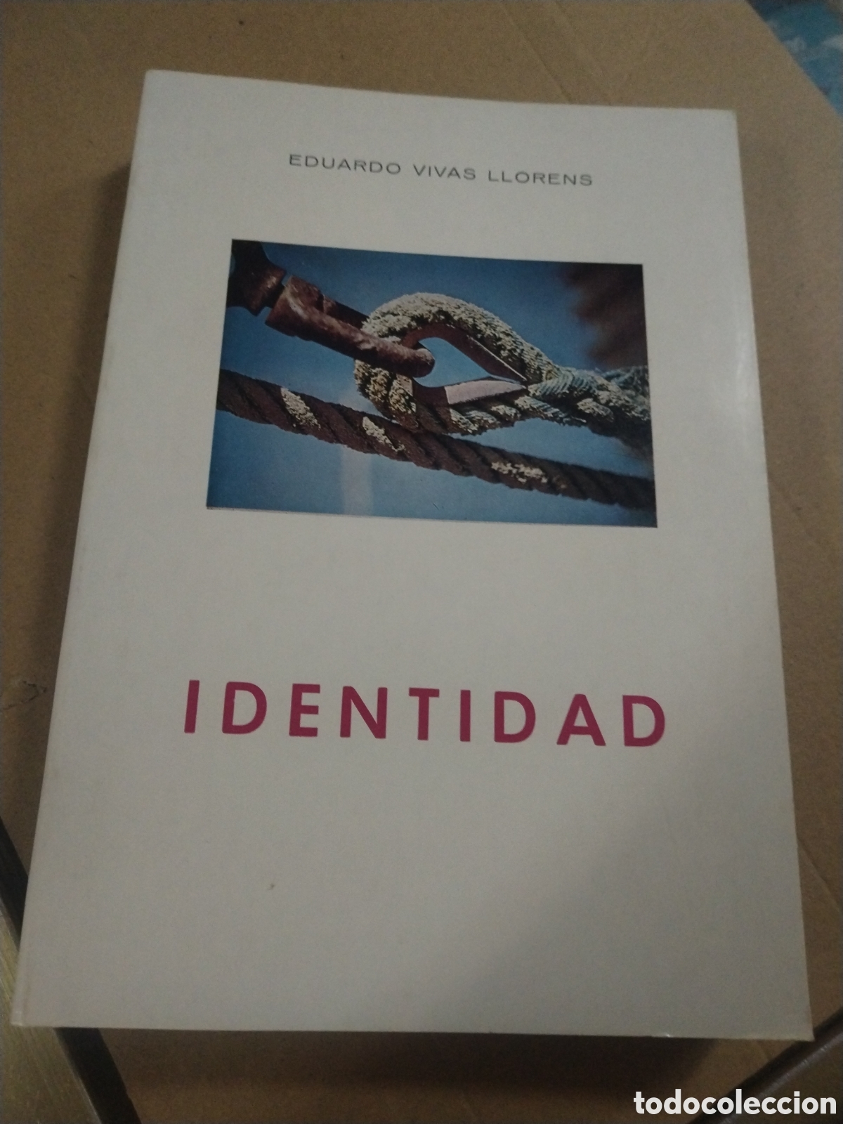 Libros: Identidad. EDUARDO VIVAS LLORENS