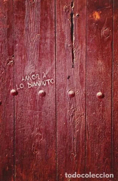 books: Amor a lo diminuto- 9788401347849