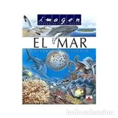 books: El mar: Universo fant&aacute;stico- 9782215066132