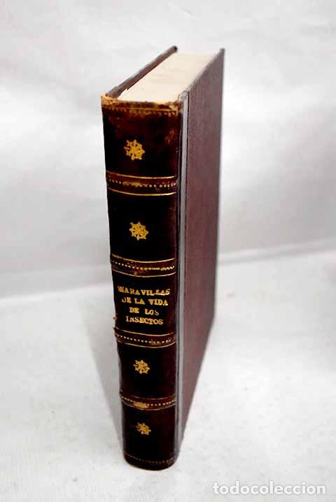 Libros: Maravillas de la vida de los insectos: narraci&oacute;n popular de organizaci&oacute;n y costumbres.- Step, Edward