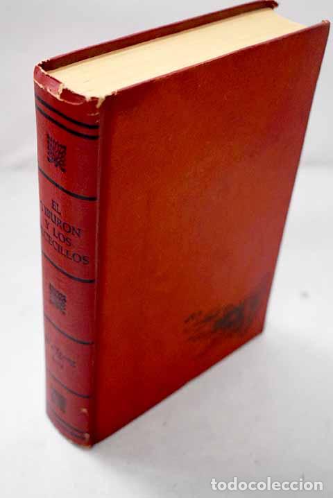 Livros em segunda m&atilde;o: El tibur&oacute;n y los pececillos.- Ott, Wolfgang