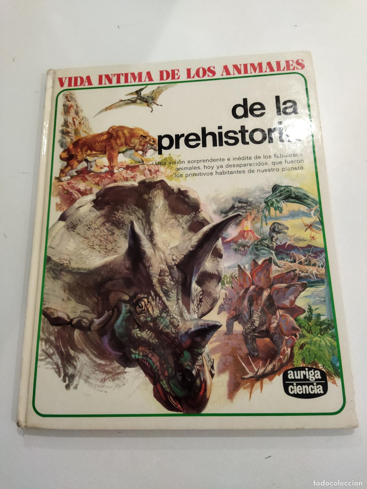 Libri di seconda mano: VIDA &Iacute;NTIMA DE LOS ANIMALES DE LA PREHISTORIA. - D&acute;AMI, RINALDO D.