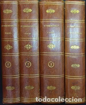 Libros: Histoire Naturelle des animaux articul&eacute;s. Annelides, crustac&eacute;s, arachnides, myriapodes et insectes.