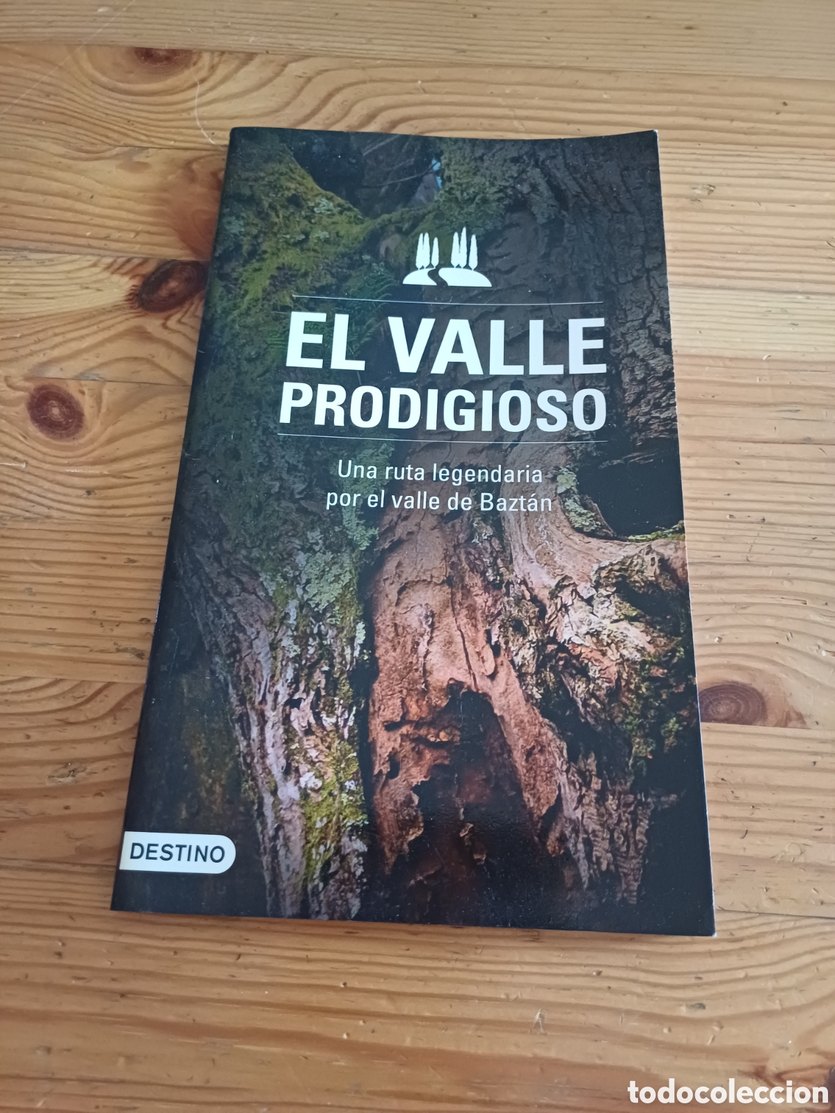 Libros: El valle prodigioso Una ruta legendaria por el valle de Bazt&aacute;n Alicia del Castillo Juan Mari Ondikol