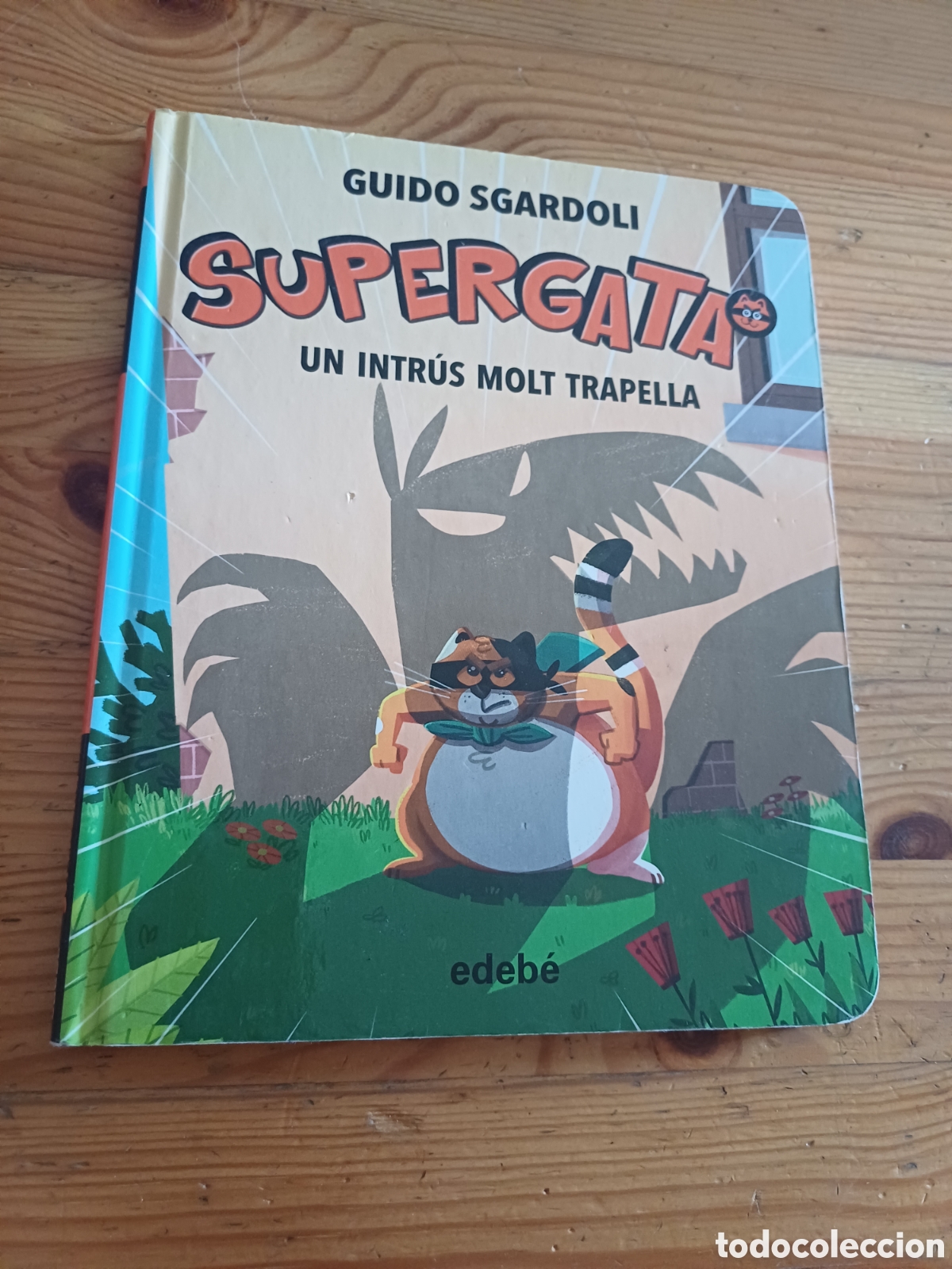 Libros: Supergata Un intr&uacute;s molt trapella Guido Sgardoli edeb&eacute; en catal&agrave; Il.lustra Enrico Lorenzi