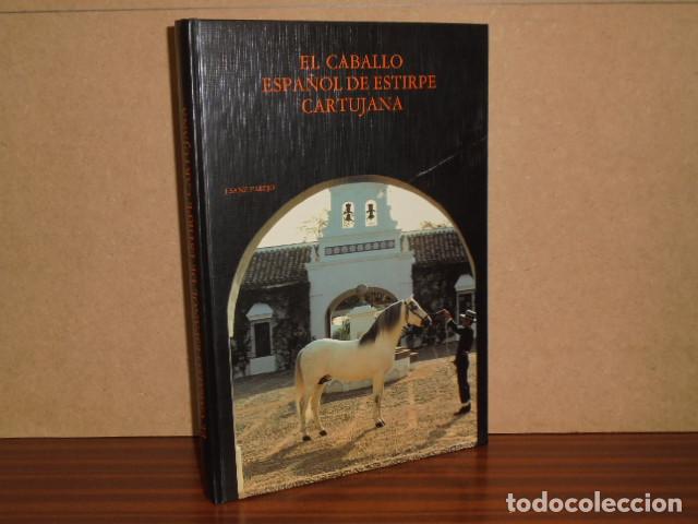 Livres: EL CABALLO ESPA&Ntilde;OL DE ESTIRPE CARTUJANA - Sanz Parejo, Jos&eacute;