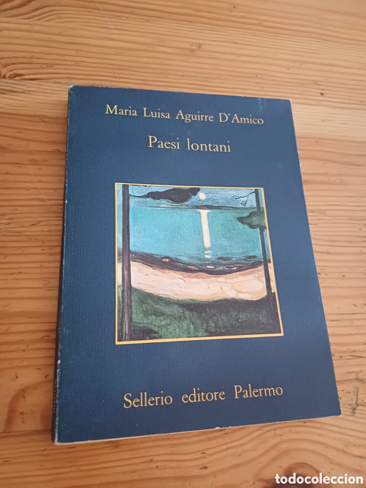 Libros: Paesi lontani Maria Luisa Aguirre D'Amico Sellerio editore