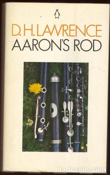 Livres: Aaron's Rod- 9780140007558
