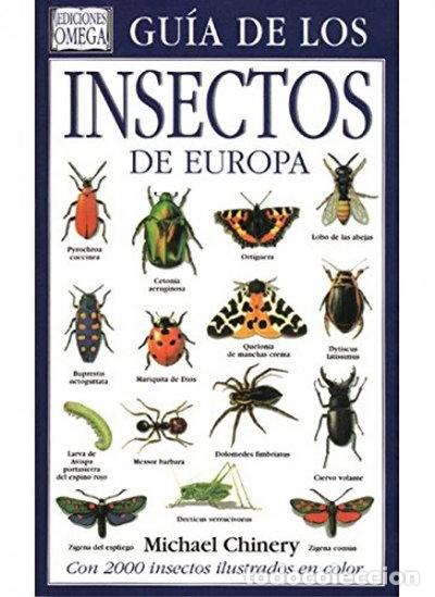 Livres: Gu&iacute;a de los insectos de Europa- 9788428208390