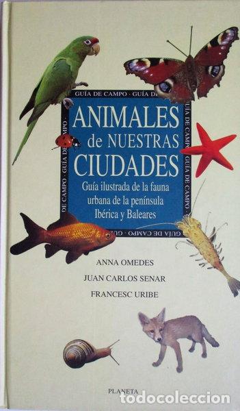 books: Animales de nuestras ciudades- 9788408020233