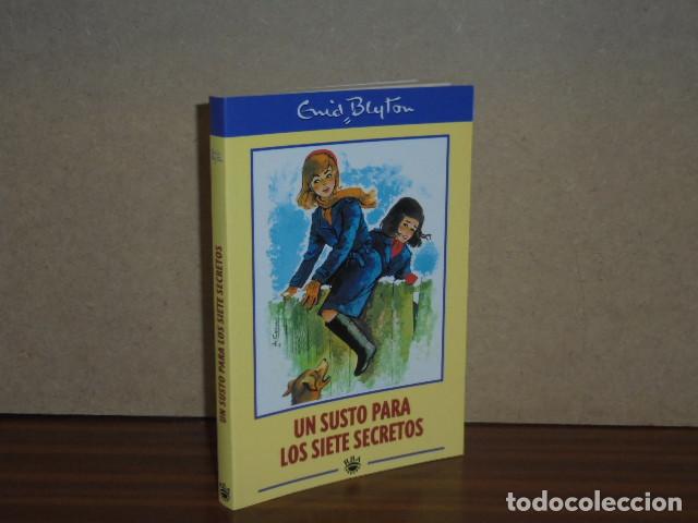 Libros: UN SUSTO PARA LOS SIETE SECRETOS - Blyton, Enid