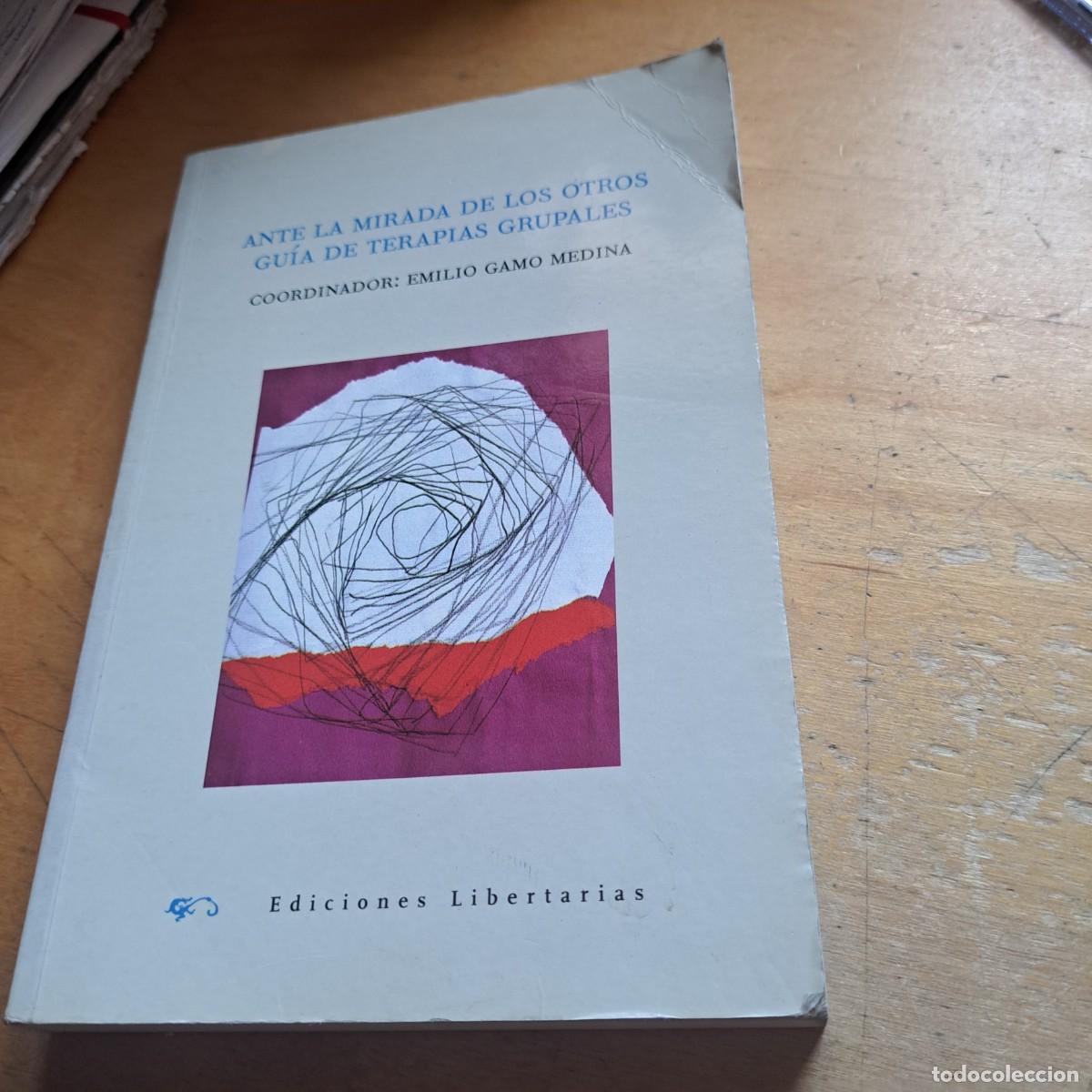 Libros: ANTE LA MIRADA DE LOS OTROS GUIA DE TERAPIAS GRUPALES COORD EMILIO GAMO ED LIBERTARIAS 23 CM RUSTICA