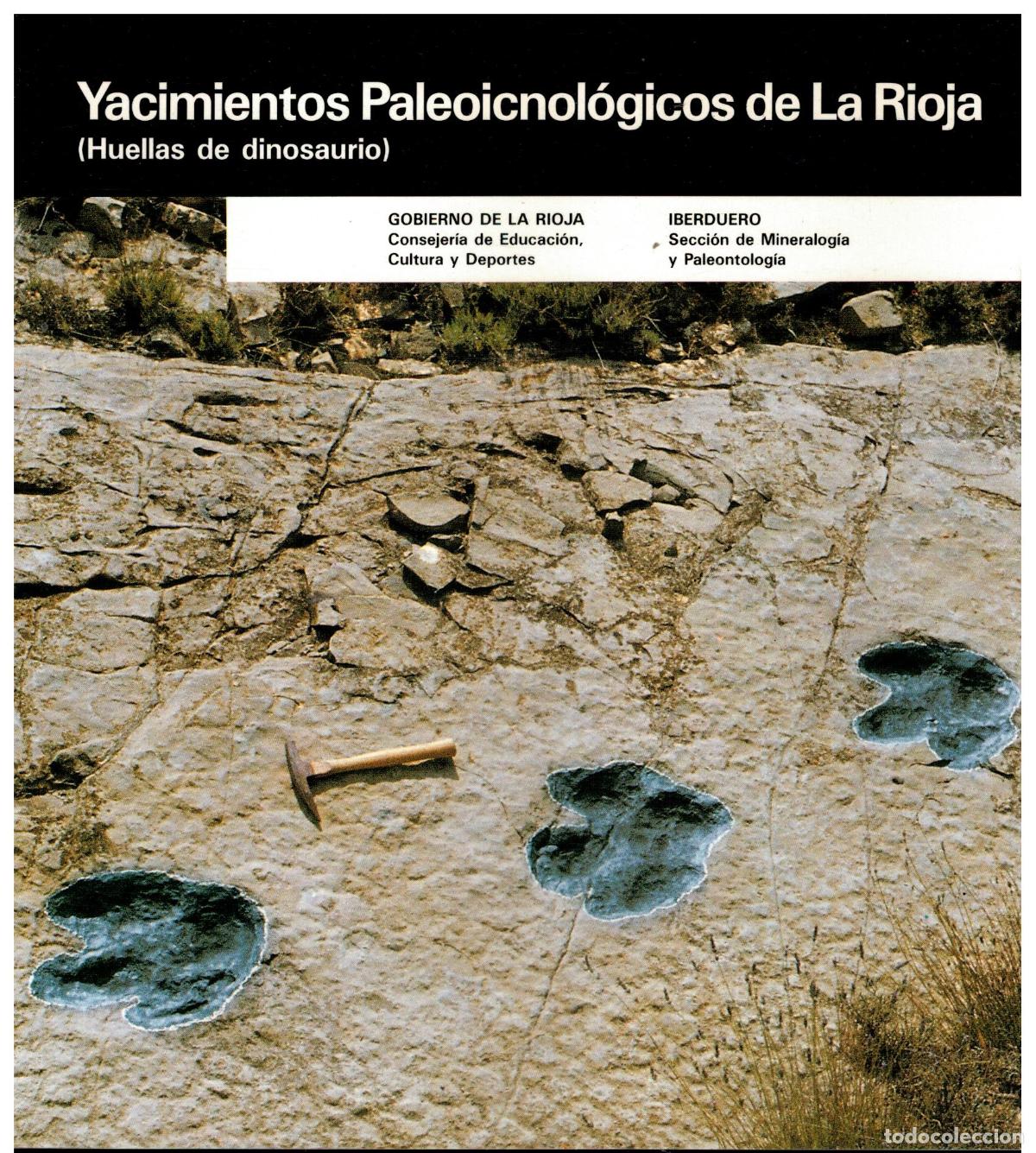 books: YACIMIENTOS PALEOICNOL&Oacute;GICOS DE LA RIOJA (HUELLAS DE DINOSAURIOS).