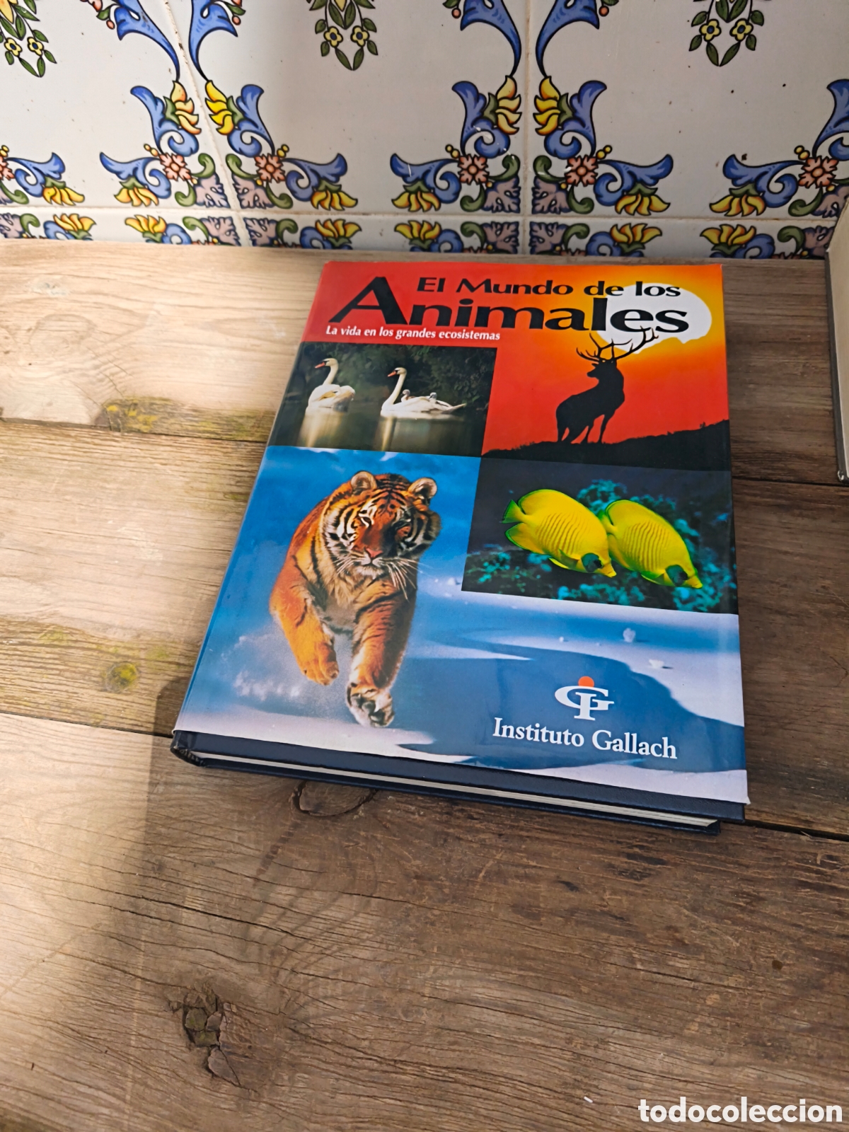 Libros: El mundo de los animales instituto gallach